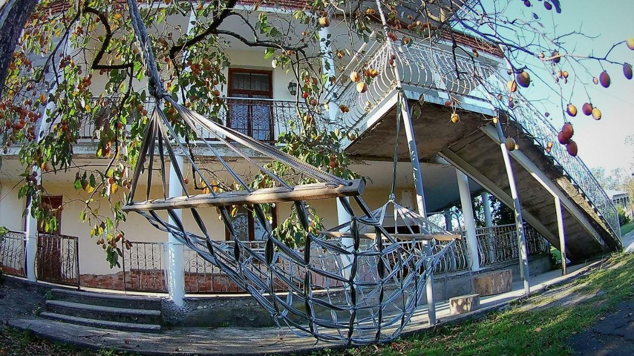 Гостевой дом Surmava Palace Мартвили Экстерьер фото